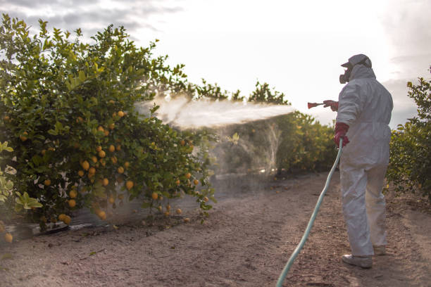 Best Termite Control Services  in Glen Burnie, MD
