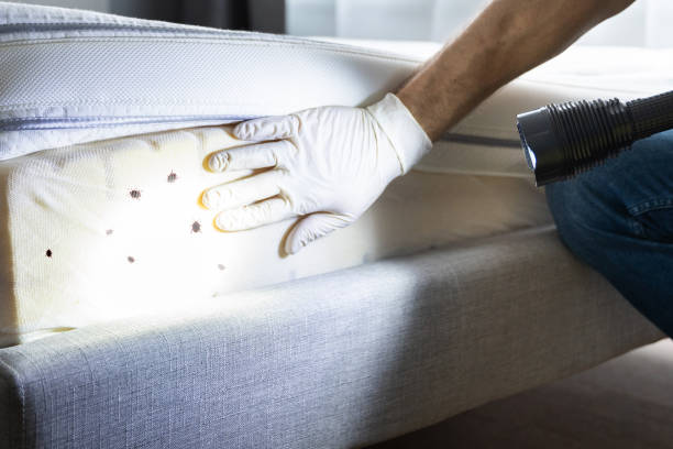 Best Pest Removal Services  in Glen Burnie, MD