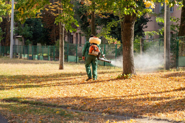 Best Local Pest Control Services  in Glen Burnie, MD