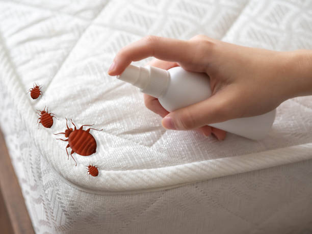 Best Pest Control Treatment  in Glen Burnie, MD