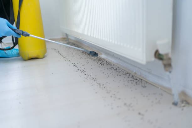 Best Commercial Pest Control Services  in Glen Burnie, MD