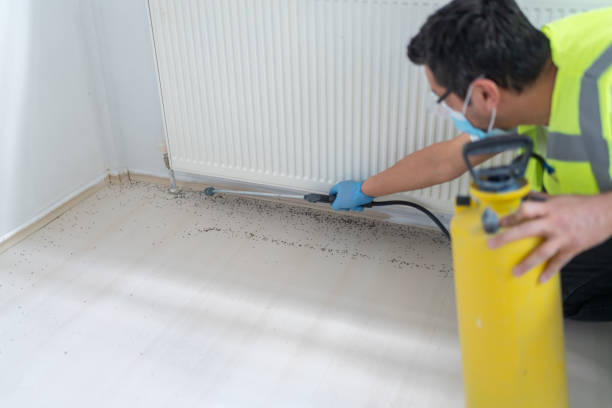 Best Commercial Pest Control Services  in Glen Burnie, MD
