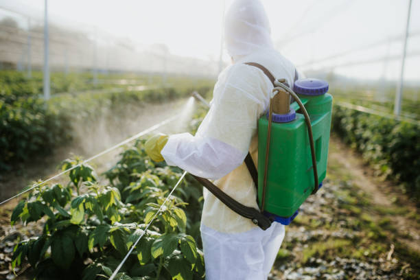 Best Pest Control for Restaurants  in Glen Burnie, MD